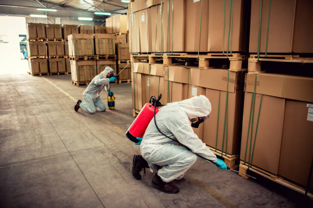Best Residential Pest Control  in Panaca, NV