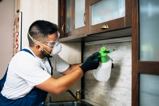 Reliable Panaca, NV Pest Control Solutions