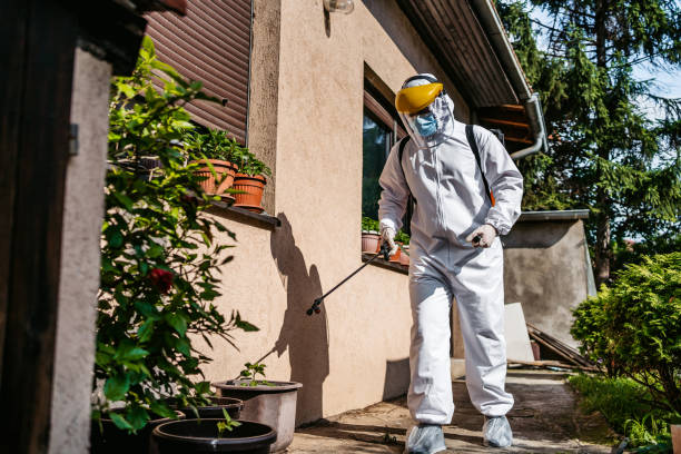 Pest Prevention Services in Panaca, NV